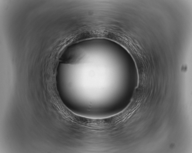 X0000099421201200805091235
