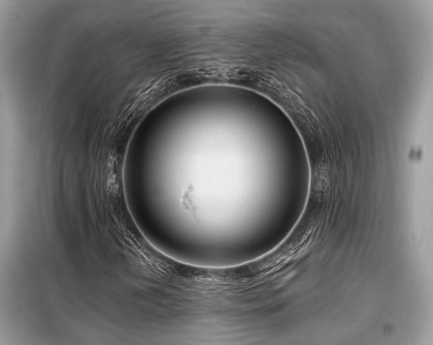 X0000099421202200805091235
