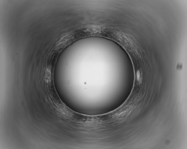 X0000099421203200805091235