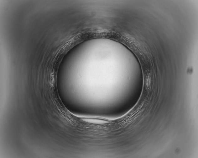 X0000099421204200805091235