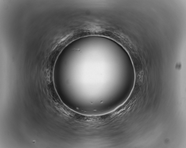 X0000099421205200805091235