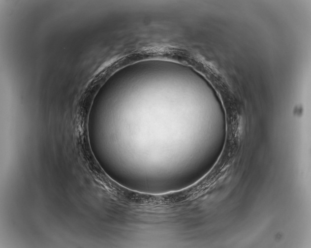 X0000099421206200805091235
