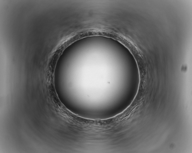 X0000099421207200805091235