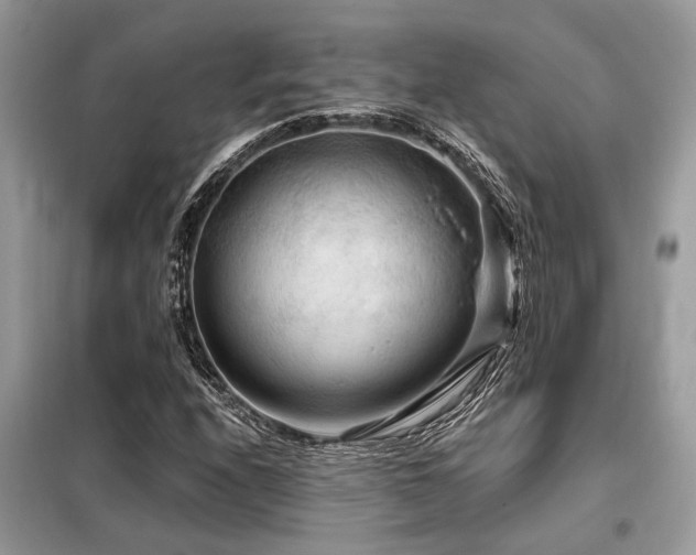 X0000099421208200805091235
