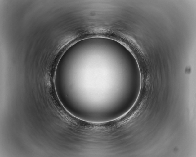 X0000099421209200805091235