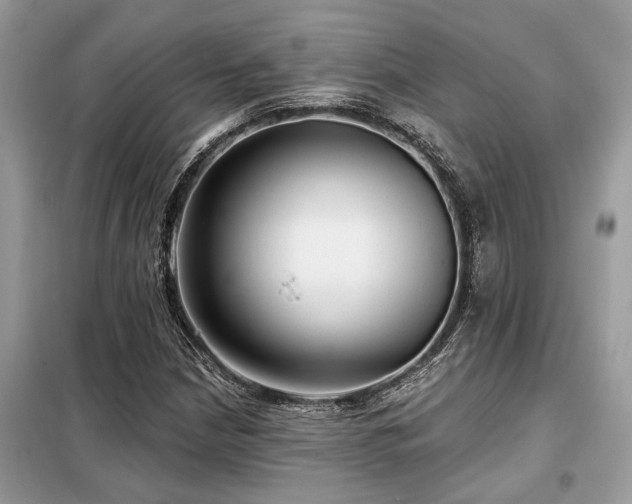 X0000099421210200805091235