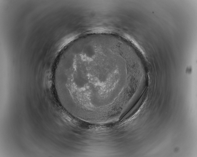 X0000099421213200805091235