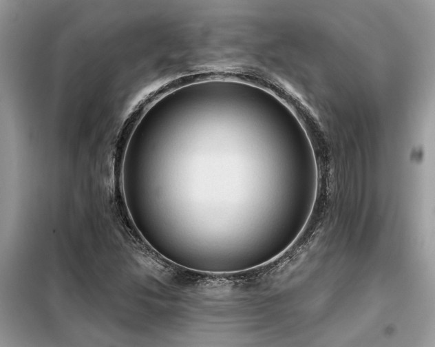 X0000099421214200805091235