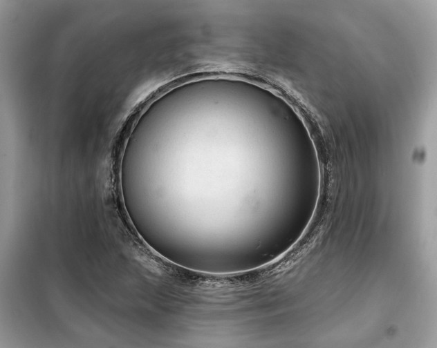 X0000099421215200805091235
