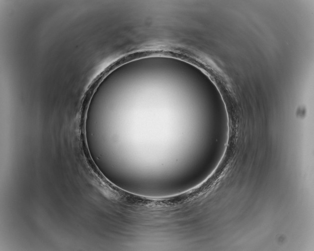 X0000099421216200805091235
