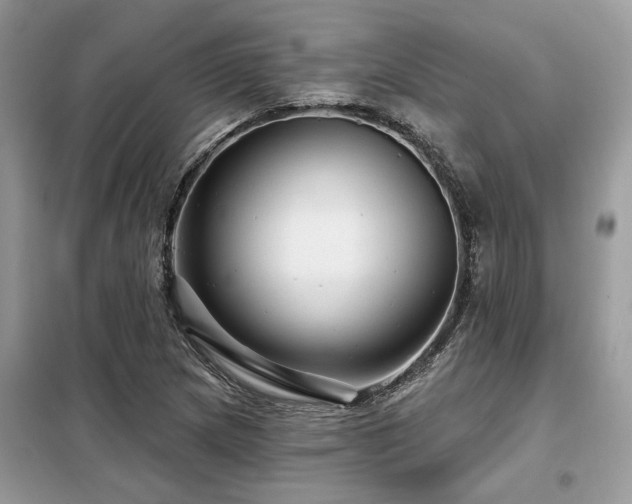 X0000099421217200805091235