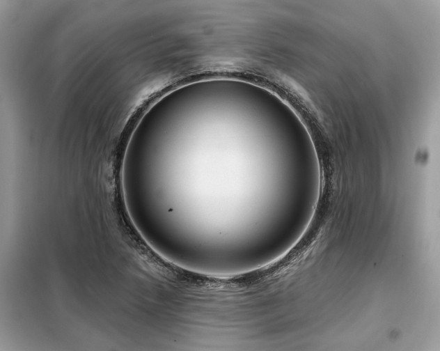 X0000099421218200805091235