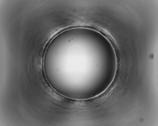 X0000099421220200805091235