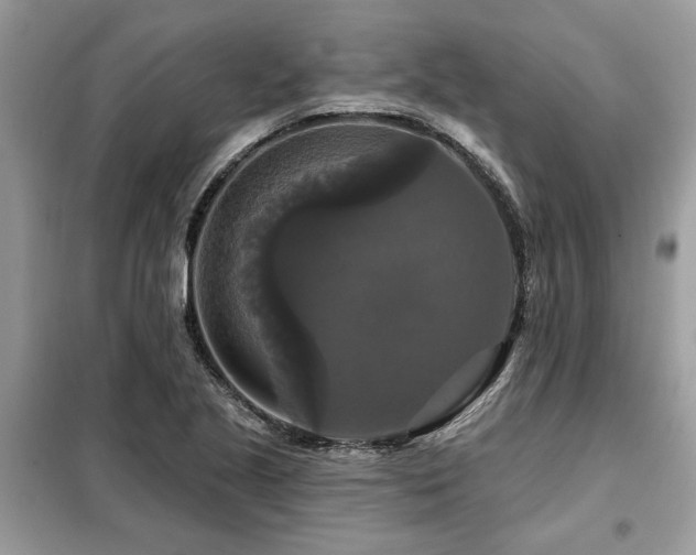 X0000099421221200805091235