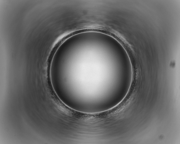 X0000099421222200805091235
