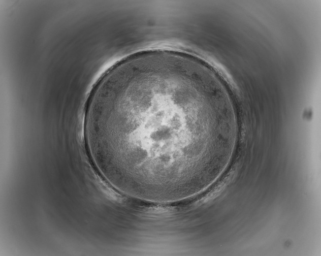 X0000099421224200805091235