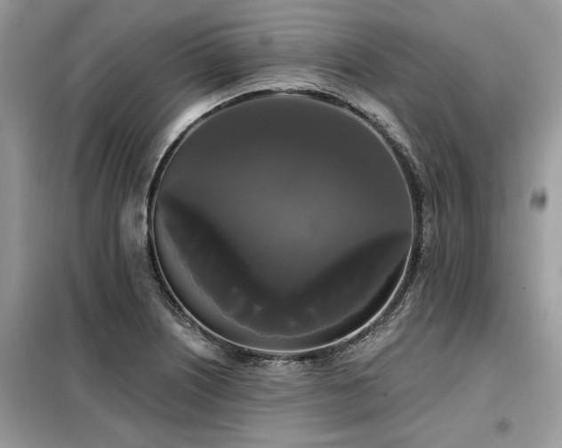 X0000099421226200805091235