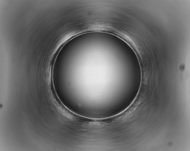X0000099421227200805091235
