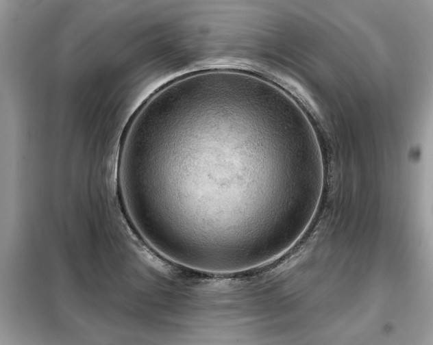 X0000099421228200805091235
