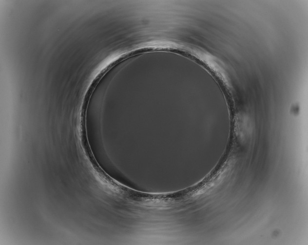 X0000099421229200805091235