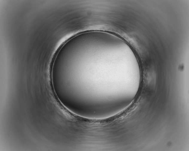 X0000099421230200805091235