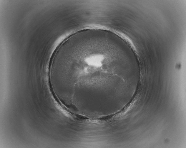 X0000099421231200805091235