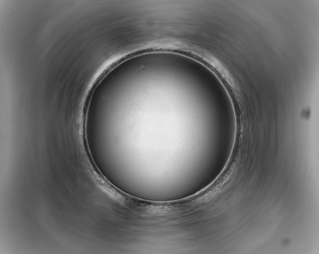 X0000099421232200805091235