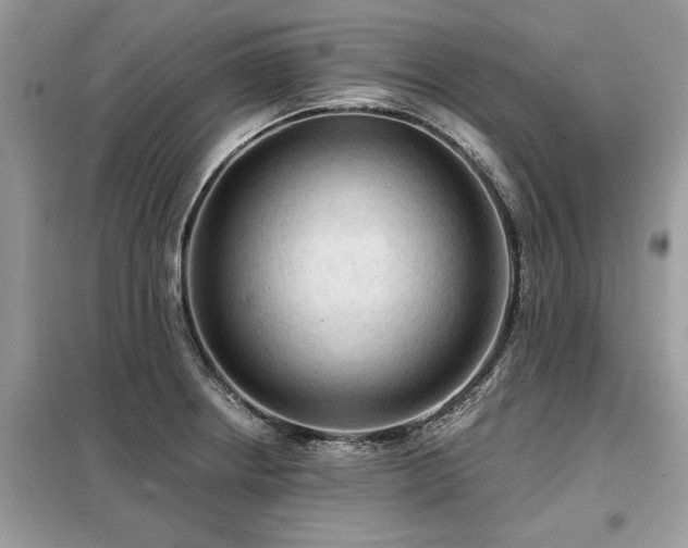 X0000099421234200805091235