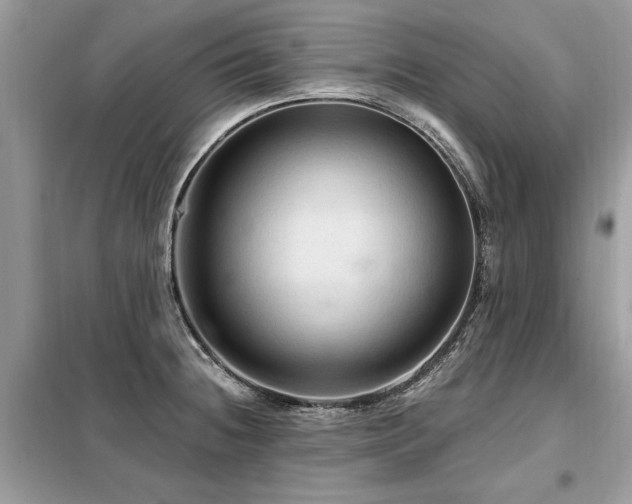 X0000099421236200805091235