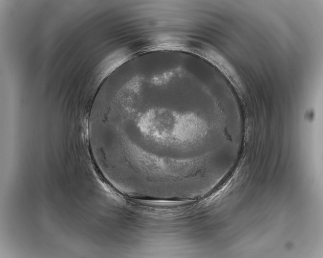 X0000099421241200805091235