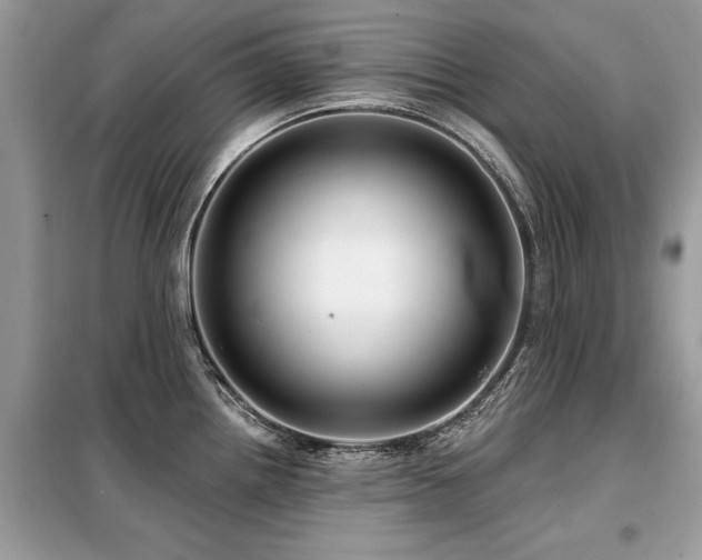 X0000099421242200805091235