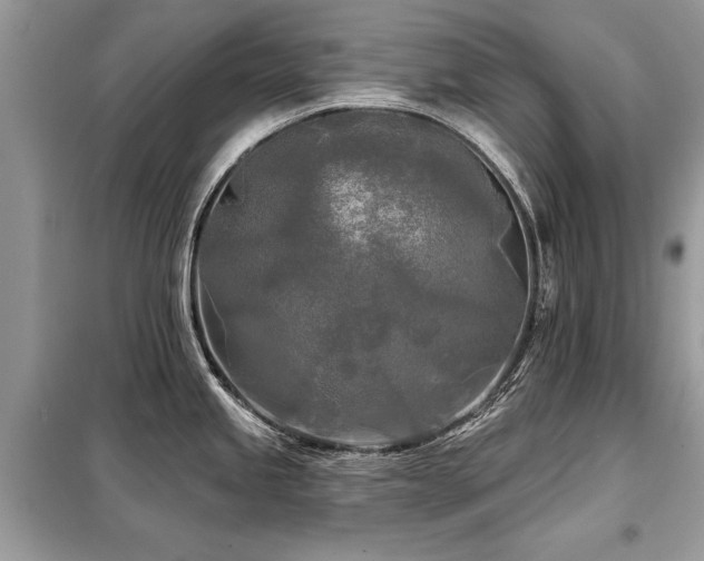 X0000099421245200805091235