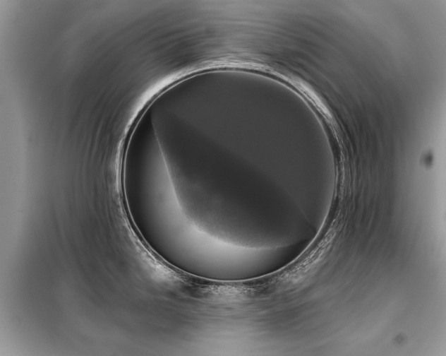 X0000099421246200805091235