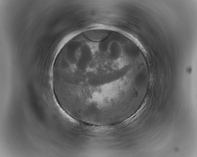 X0000099421247200805091235