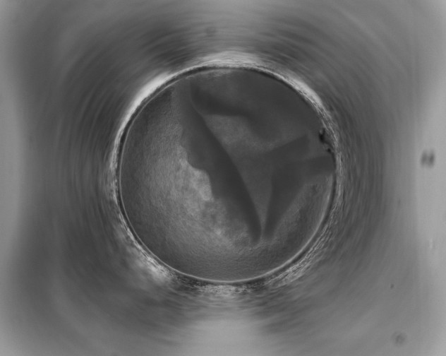 X0000099421248200805091235