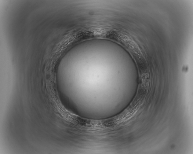 X0000099421249200805091235