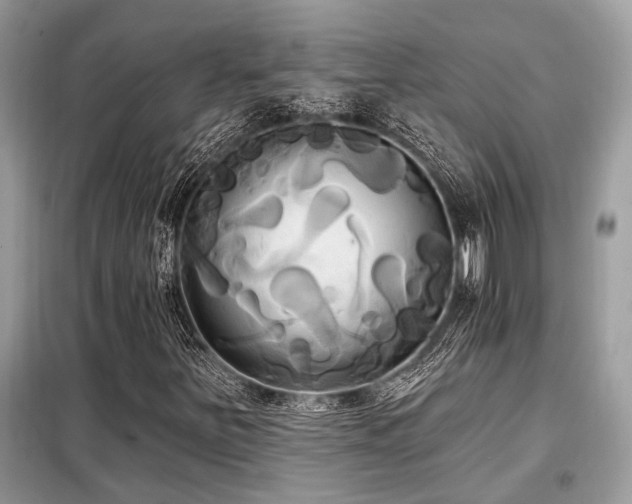 X0000099421251200805091235