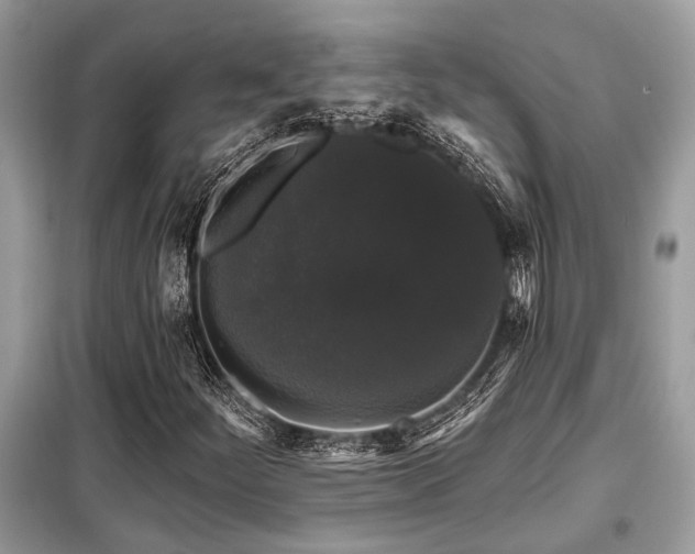 X0000099421252200805091235
