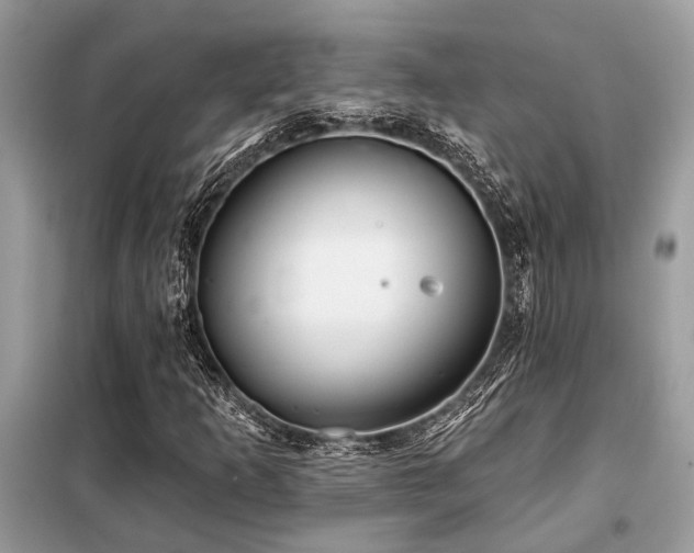 X0000099421253200805091235