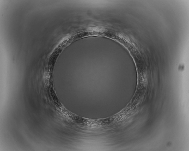 X0000099421254200805091235