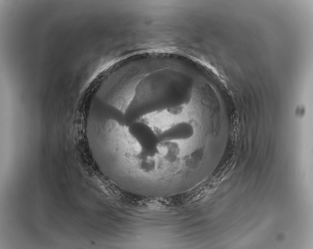 X0000099421255200805091234