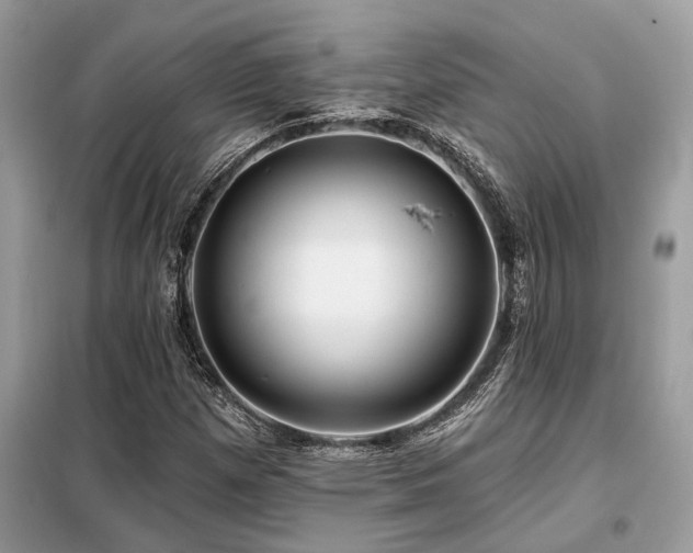 X0000099421257200805091234