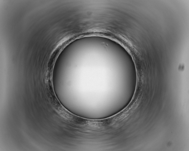 X0000099421258200805091234