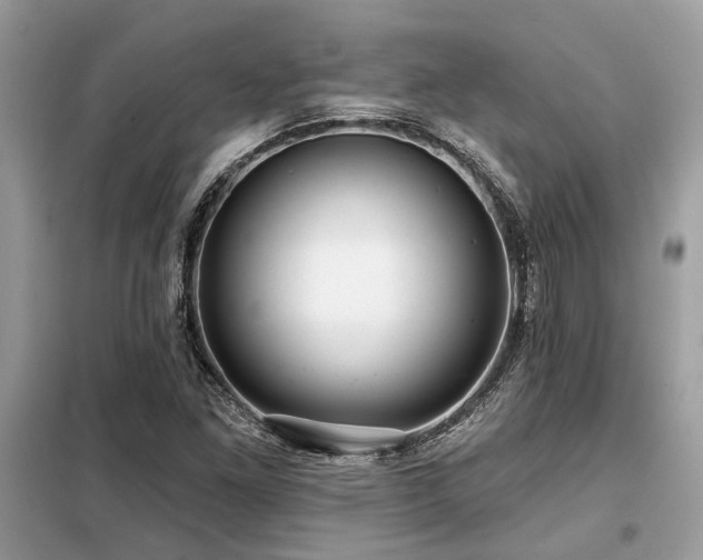 X0000099421261200805091234