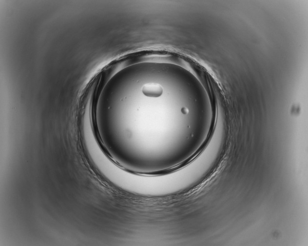 X0000099421263200805091234