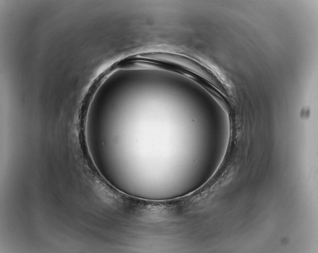 X0000099421264200805091234