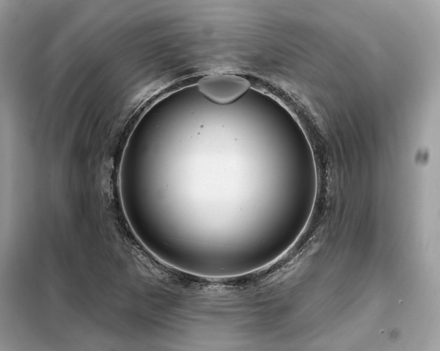 X0000099421265200805091234