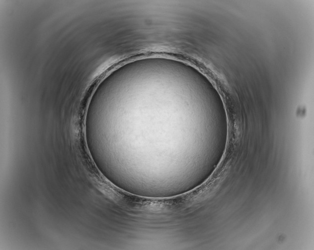 X0000099421266200805091234