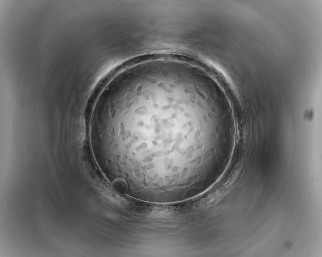 X0000099421267200805091234