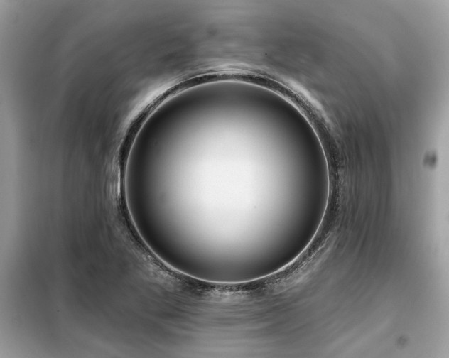 X0000099421269200805091234